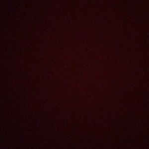 Meet your Posher, Lily